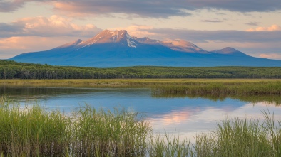 blackwater national wildlife refuge