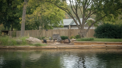 buttonwood park zoo