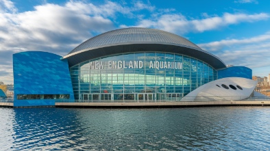 new england aquarium