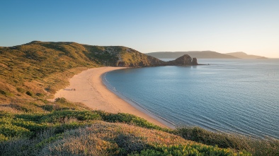 sandy point beach