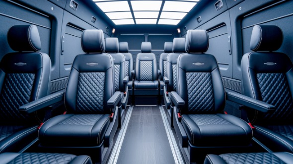 sprinter van with driver rental